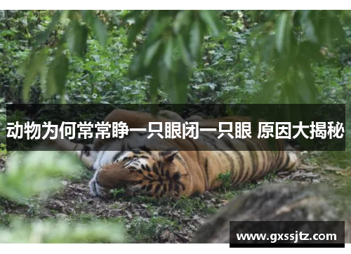 动物为何常常睁一只眼闭一只眼 原因大揭秘 动物为何常常睁一只眼闭一只眼 原因大揭秘