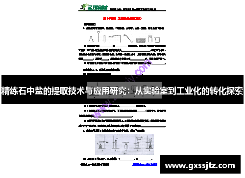 精练石中盐的提取技术与应用研究:从实验室到工业化的转化探索 精练石中盐的提取技术与应用研究:从实验室到工业化的转化探索